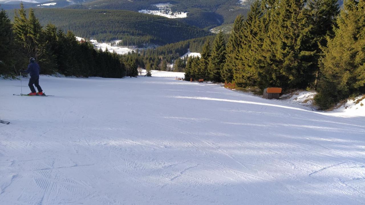 44 Slaska Kamienna Gora Buitenkant foto